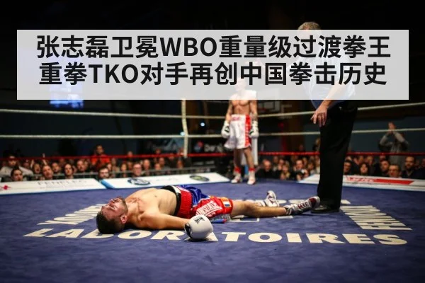 张志磊卫冕WBO重量级过渡拳王 重拳TKO对手再创中国拳击历史（Baccara Gaming）